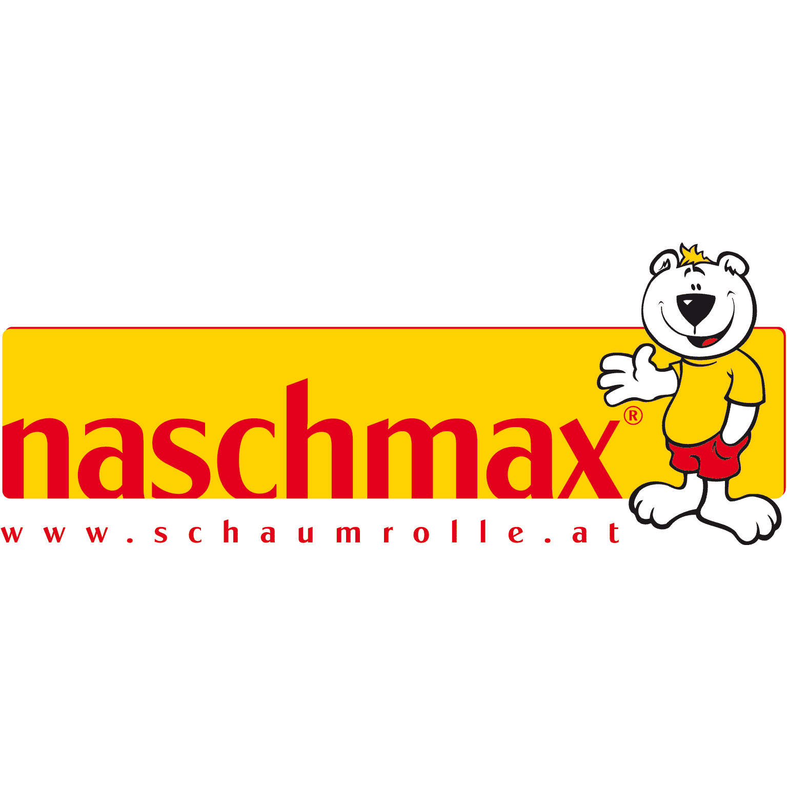 naschmax logo